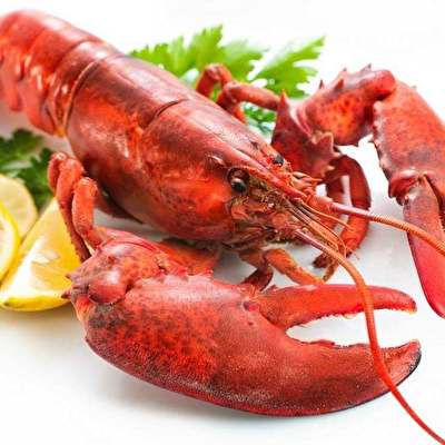 Lobster Friday